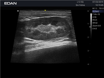 EDAN Acclarix AX8 VET